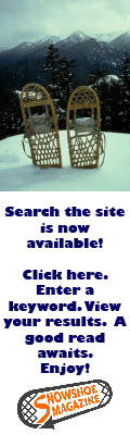 Search the Site